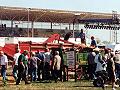horse powered threshing