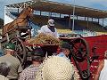 horse powered threshing