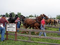 horse powered saw mill