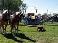 Horse powered elevator and wagon hoist