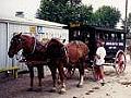 Horse drawn school buggy