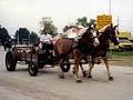 Horse drawn manure spreader