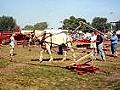 Horse powered corn grinder