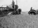 combining in South Dakota