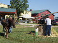 Horse powered sorgum press