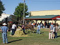 Horse powered sorgum press