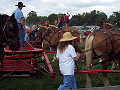 horse powered threshing