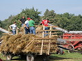 steam powered threshing