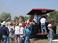 steam powered threshing