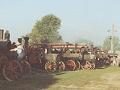 lots of Traction Engines