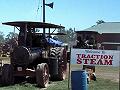 lots of Traction Engines