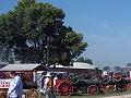 lots of traction engines