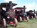 lots of traction engines