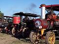 lots of traction engines