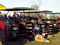 lots of traction engines