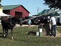 horse power videos