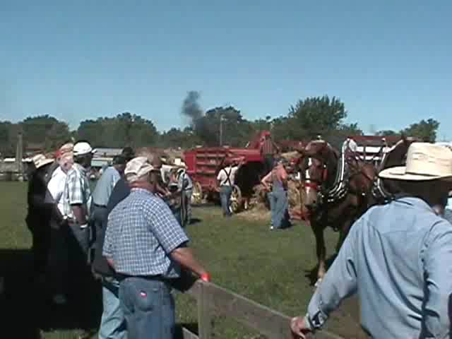 threshing video clip 2.6 meg.